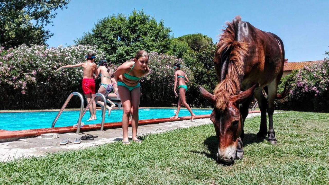 Agriturismo Il Bottaccino Monsummano Terme المظهر الخارجي الصورة