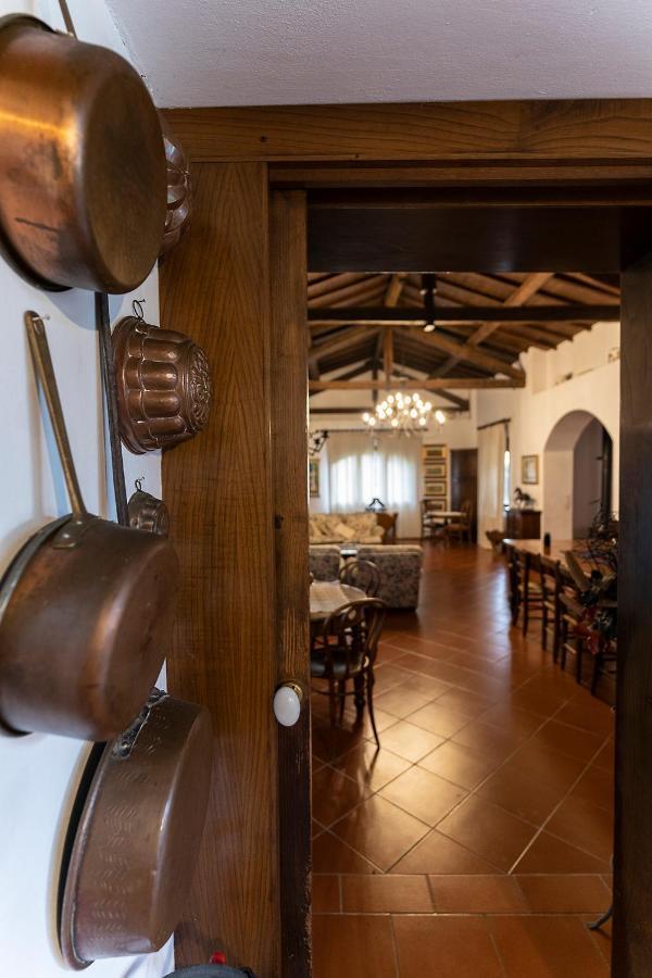 Agriturismo Il Bottaccino Monsummano Terme المظهر الخارجي الصورة